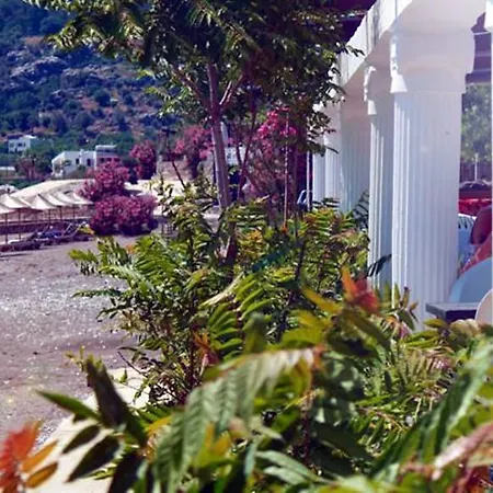 Verano