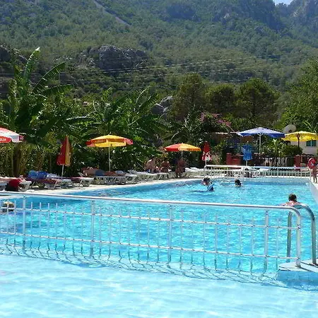 Verano 2*